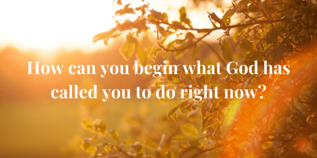 Candice's fostering and adoption story. Sunrise through the trees with the words written across in white, "How can you begin what God has called you to do right now?"