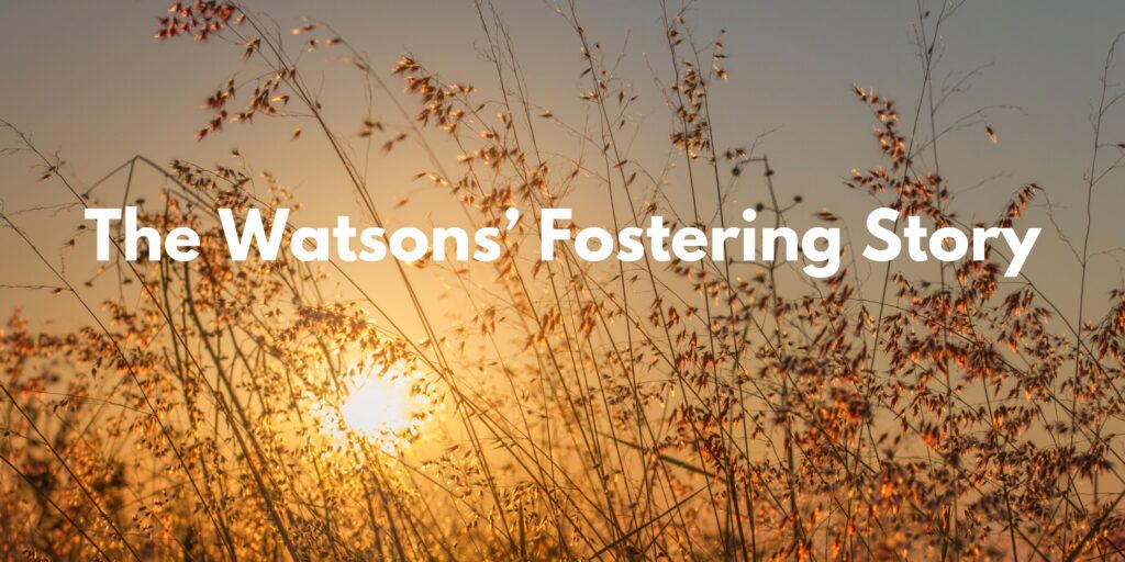 The Watsons' Fostering Story - Title in white lettering behind a background of a sunset with fall leaves in the foreground.
